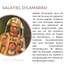 Perfil de Salatiel
