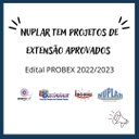 Banner projetos do NUPLAR aprovados