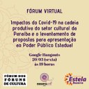 Videoconferência sobre impactos do Covid 19