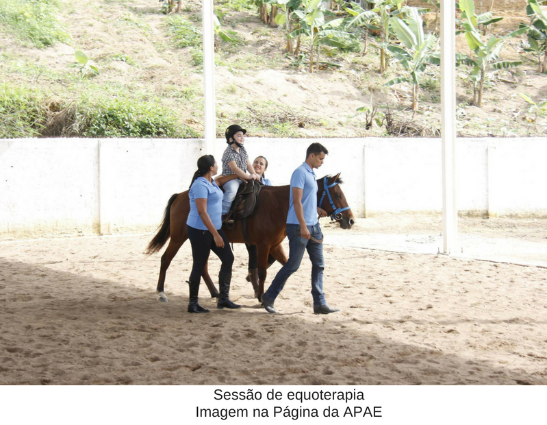 Sessão de equoterapia. IMAGEM- Página da APAE de Areia 