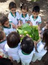 Crianças do projeto Boas Práticas Alimentares_Imagem cedida pela equipe